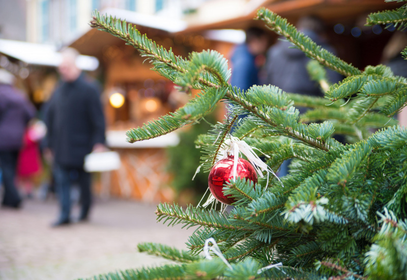 Le Lions Club d'Erquelinnes organise un voyage au Marché de Noël de Amiens