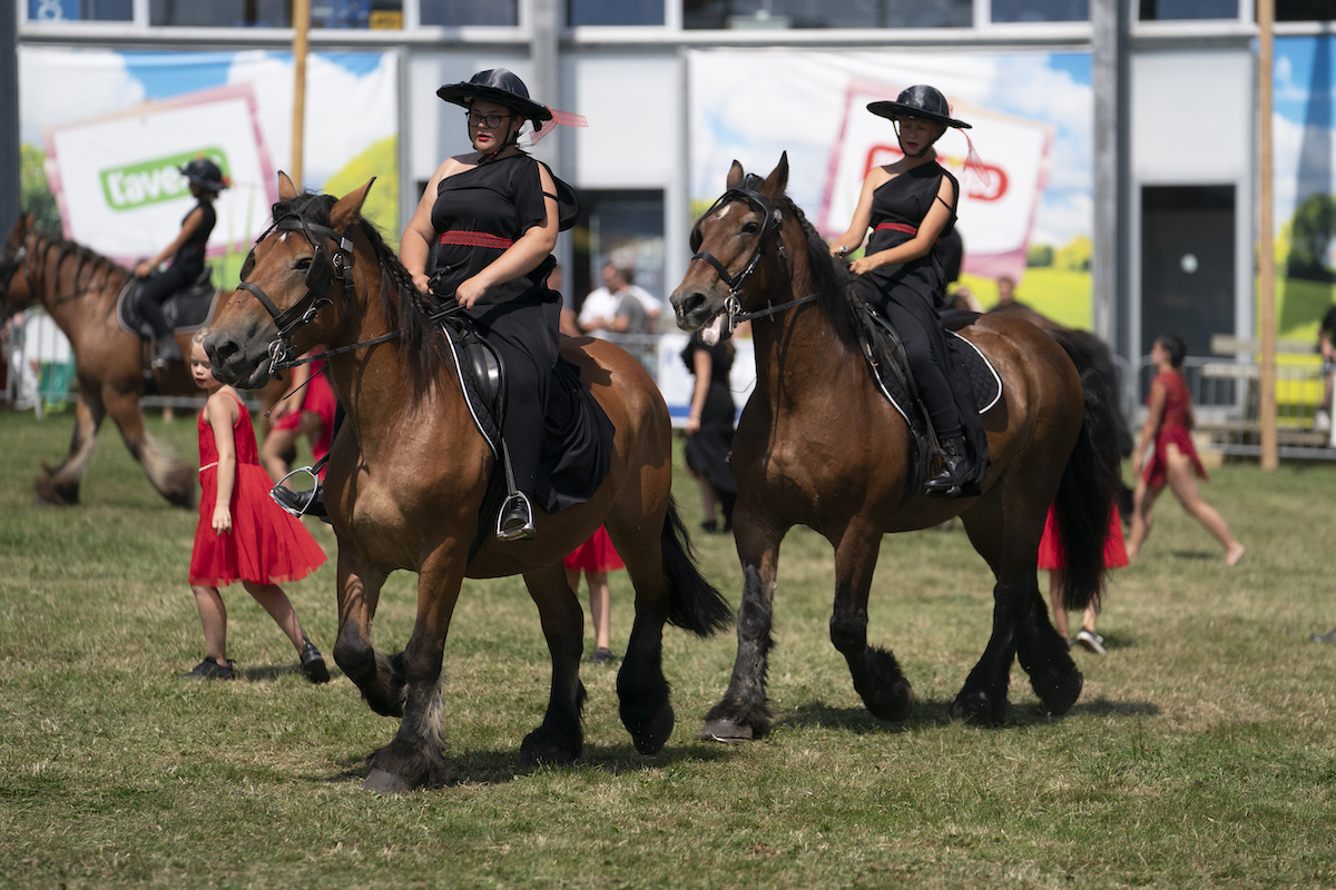 Voyage en car à la Foire agricole de Libramont à partir de Nalinnes