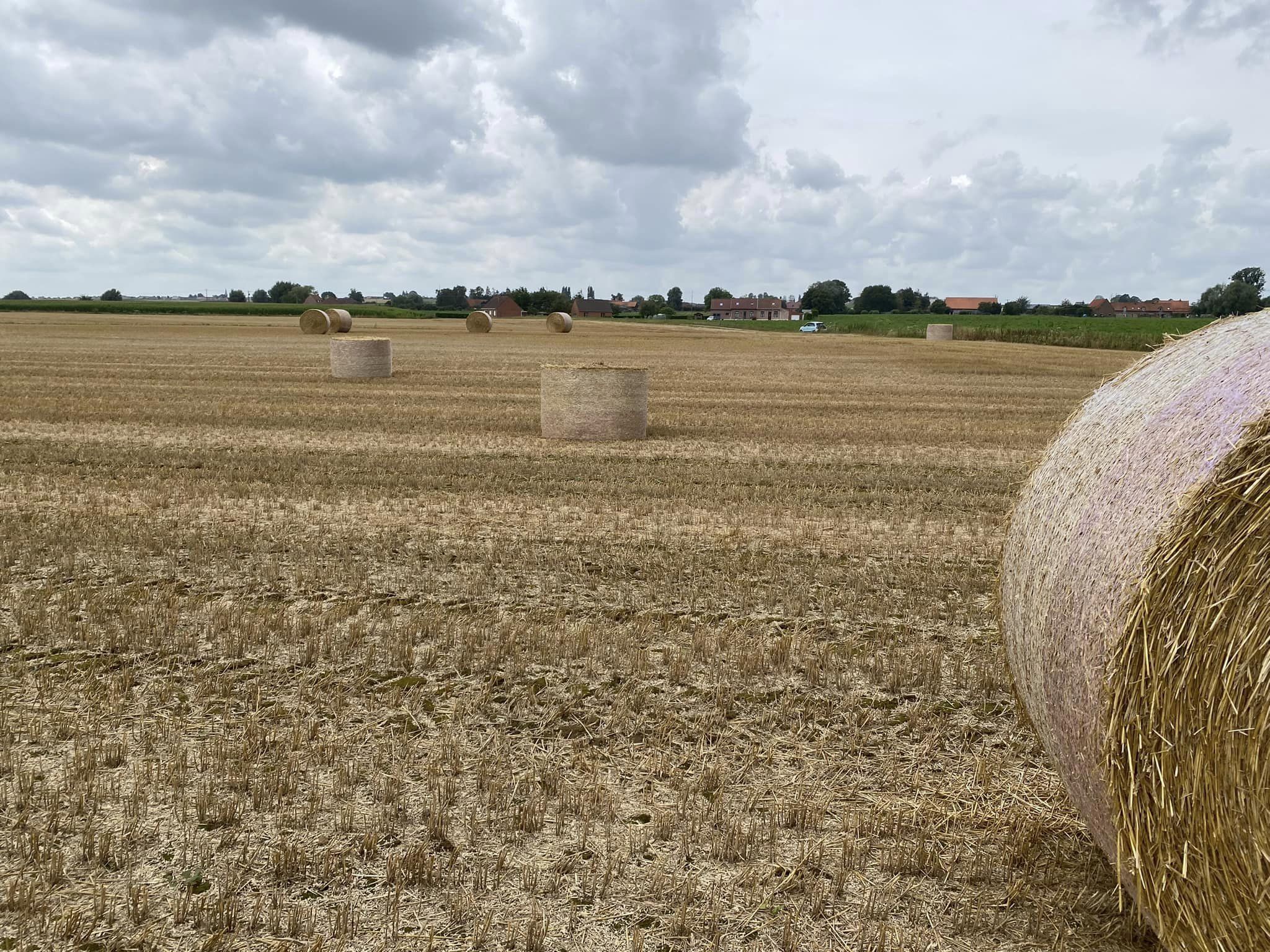 Ham-sur-heure-Nalinnes : Les agriculteurs confrontés à une nouvelle forme de "vandalisme"