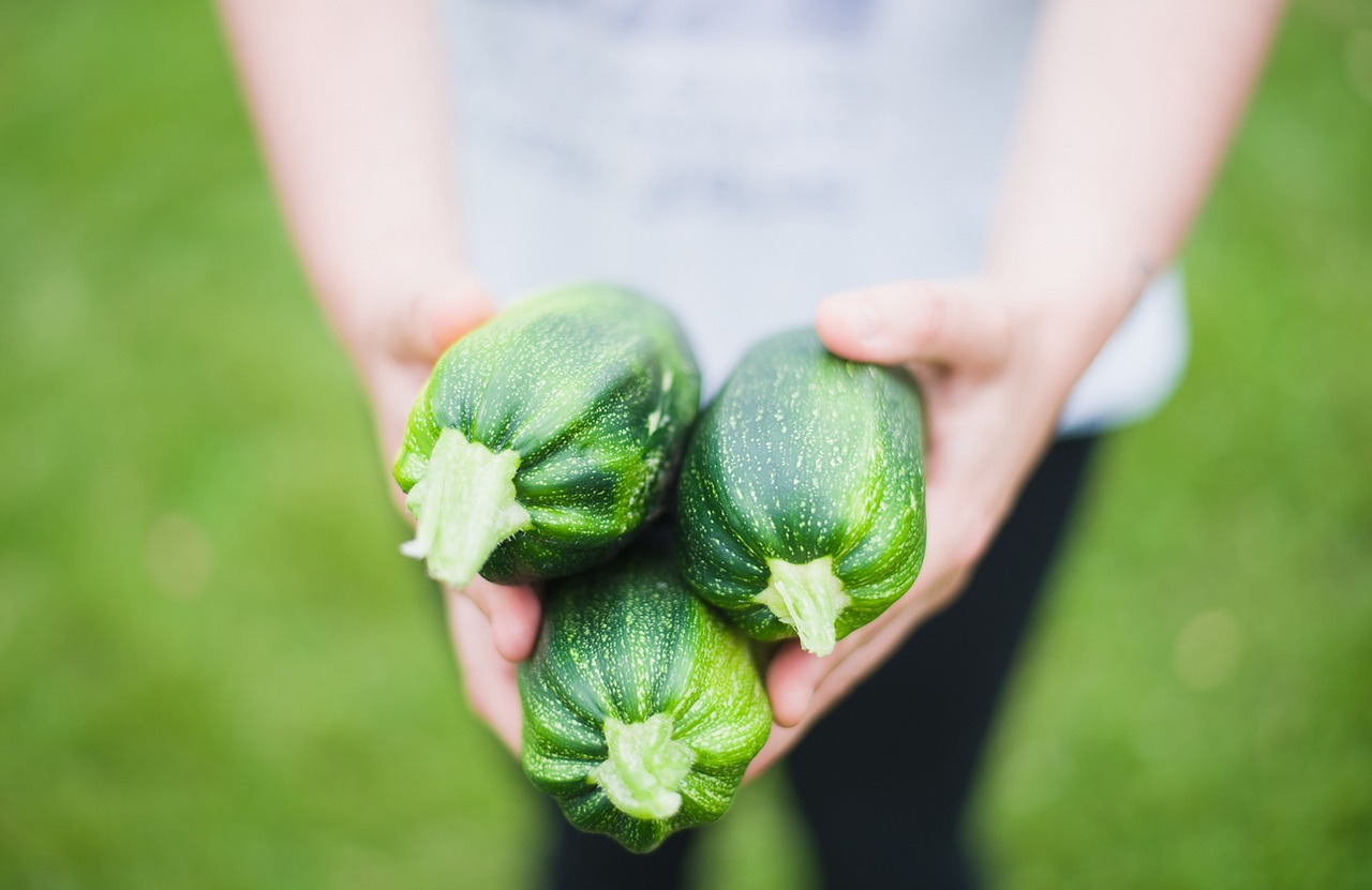 Aldi rappelle des courgettes bio