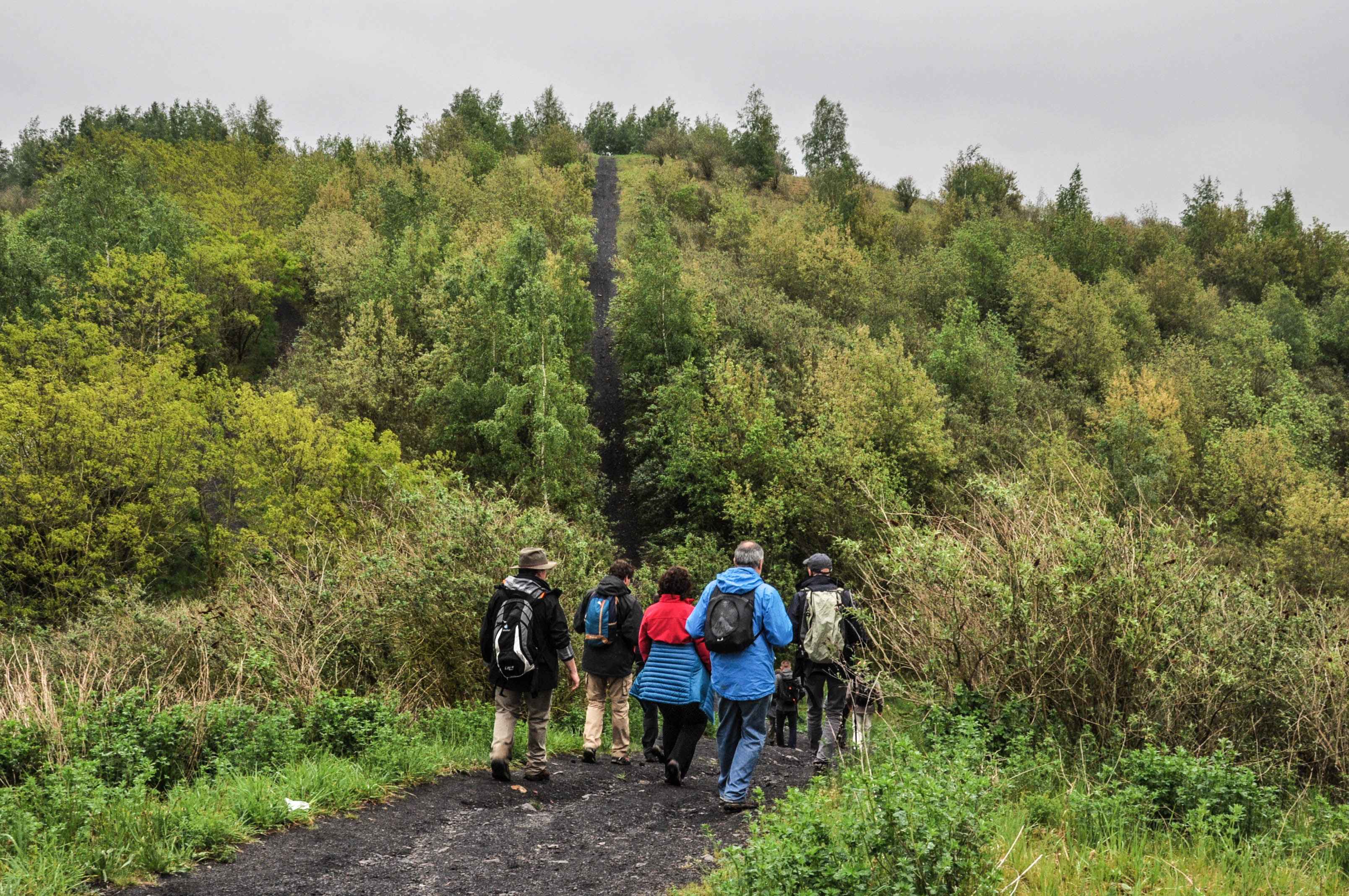 Nouvelle chasse Totemus autour des terrils du Bois du Cazier !