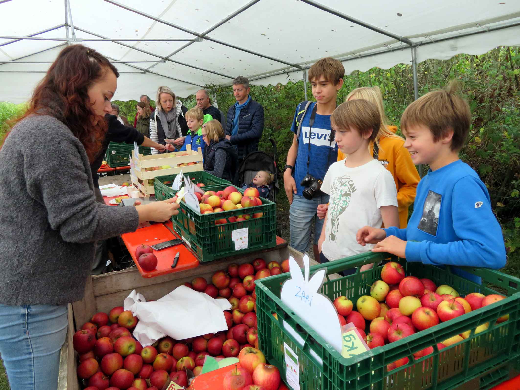 Nouvelle édition de la Foire aux pommes à l'Aquascope de Virelles