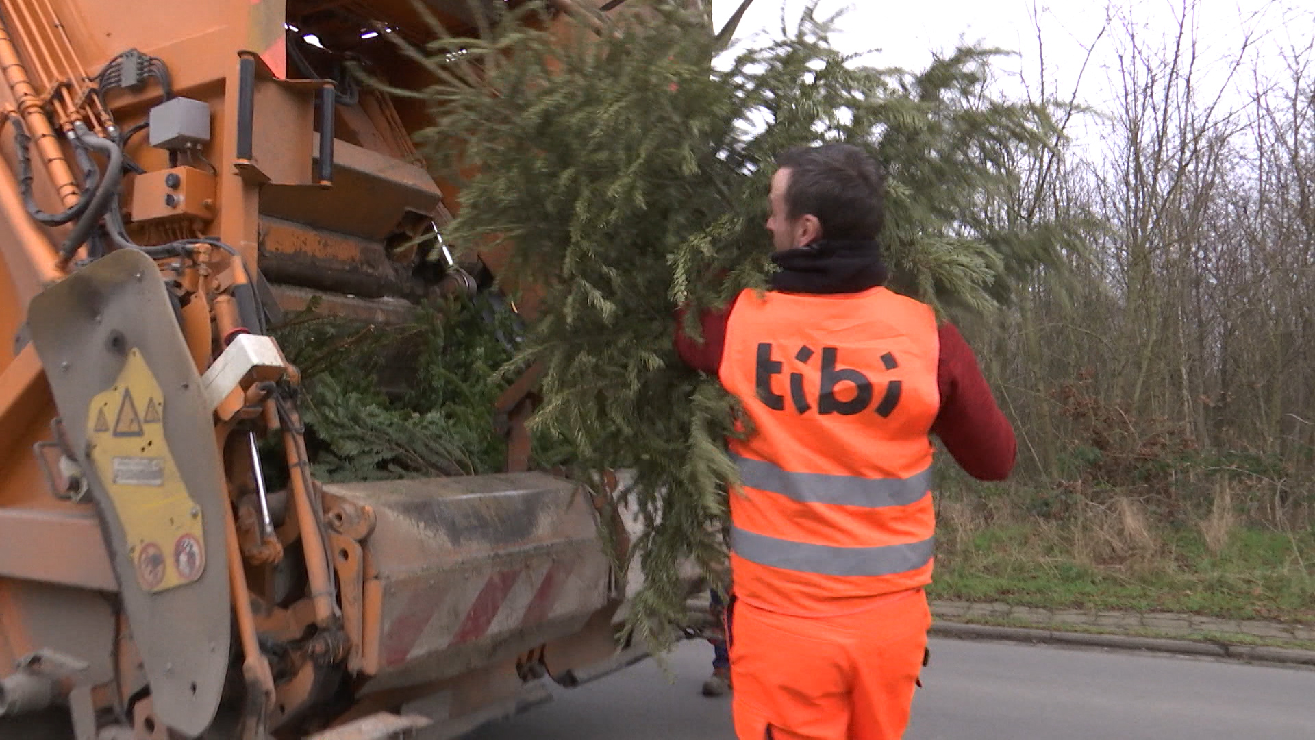 Tibi: Voici les dates des collectes en porte-à-porte des sapins de Noël