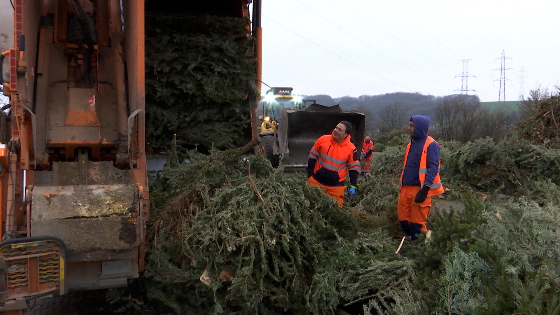 Rappel:  La collecte Tibi des sapins de Noël débute demain !