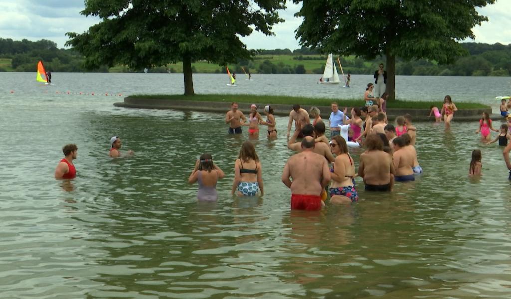 Lacs de l'Eau d'Heure: 120 baigneurs ont plongé pour réclamer une eau de qualité