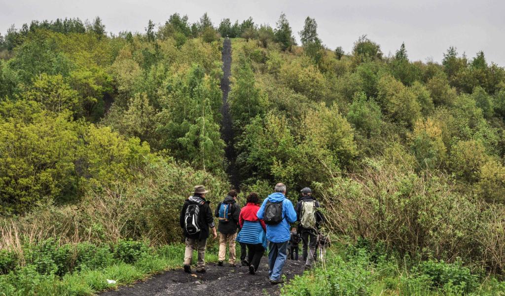 Nouvelle chasse Totemus autour des terrils du Bois du Cazier !