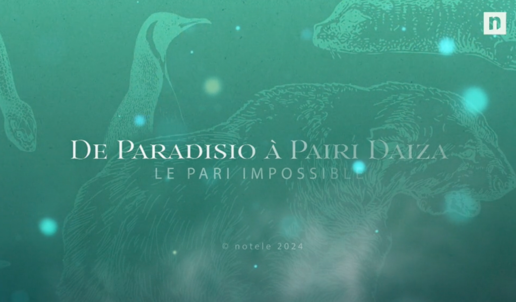 De Paradisio à Pairi Daiza, le pari impossible.