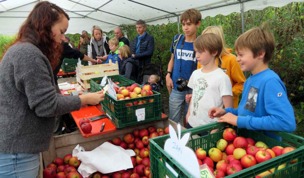 Virelles : La Foire aux pommes c'est ce week-end, il n'est pas trop tard !