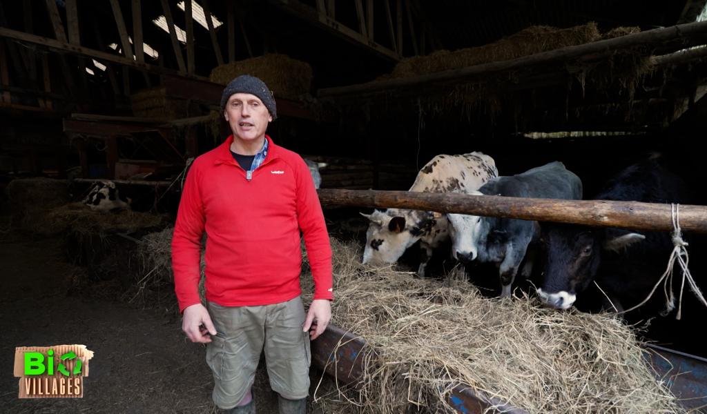 Élevage de la Petite Suisse à Lompret