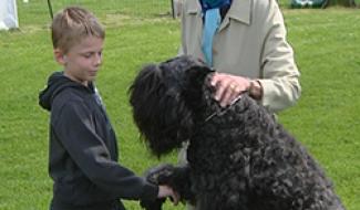 06/06/13 : VISITE SCOLAIRE AU CLUB CANIN DE DAMPREMY