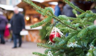 Le Lions Club d'Erquelinnes organise un voyage au Marché de Noël de Amiens