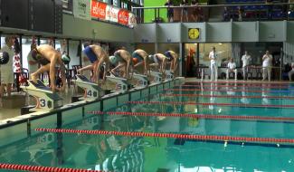 La piscine Helios, le temple de la natation francophone durant le week-end