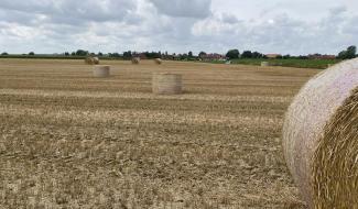 Ham-sur-heure-Nalinnes : Les agriculteurs confrontés à une nouvelle forme de "vandalisme"