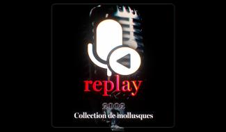 Replay: Collection de mollusques