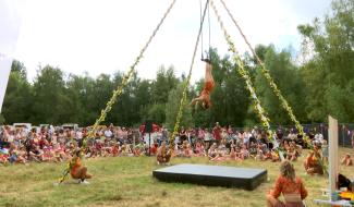 Color Wood Festival à Fleurus : un voyage culturel entre musique et arts du cirque