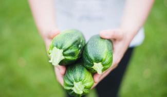 Aldi rappelle des courgettes bio