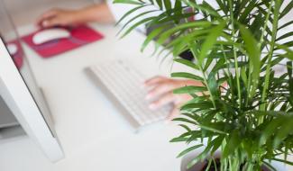 Le télétravail est bon pour la planète !