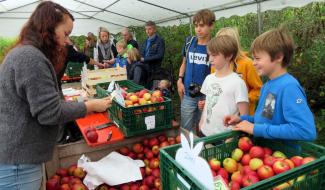 Virelles : La Foire aux pommes c'est ce week-end, il n'est pas trop tard !