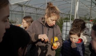 Des élèves de l'IND Loverval à la découverte de Panier Culture