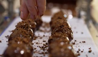 Tarquin : la passion du chocolat, de la fève à la tablette !