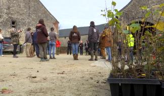 Semaine de l'arbre : la ferme Defalque poursuit son autonomie énergétique !