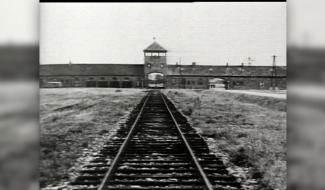 80 ans de la libération d'Auschwitz : un devoir de mémoire