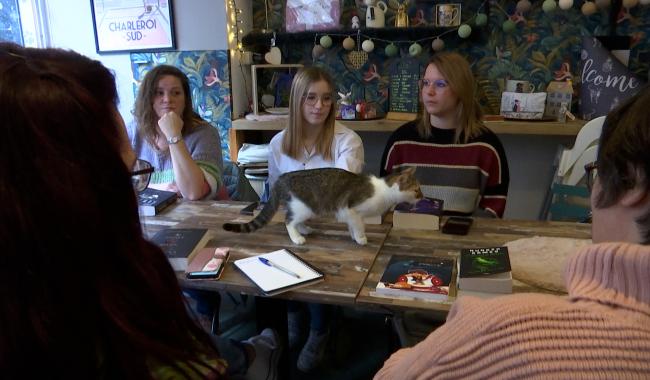 Le Mélibooks Club, un club de lecture très félin