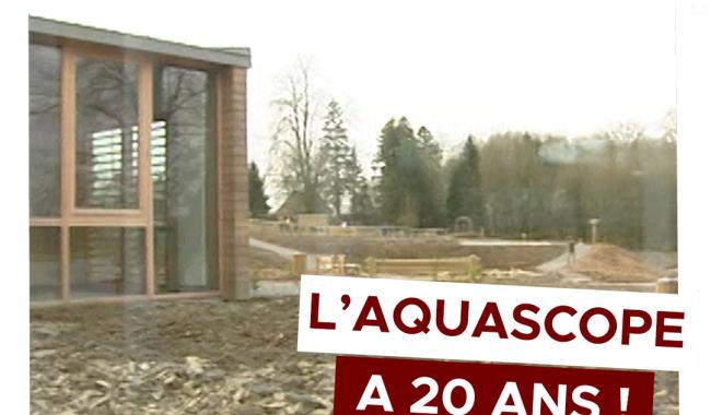 Les Grands Témoins de Local Archives : L'aquascope de Virelles a 20 ans