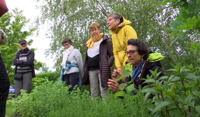 Thuillies: découverte d'un jardin favorable à la biodiversité