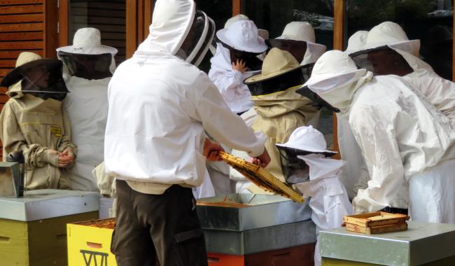 Dimanche 18 août : Fête du Miel et de la Nature à l'Aquascope de Virelles