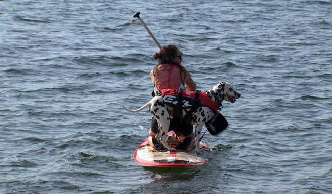 Cani-paddle, une 4e édition sous le soleil