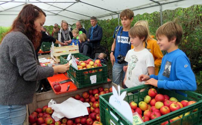 Virelles : La Foire aux pommes c'est ce week-end, il n'est pas trop tard !