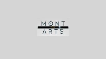 Mont des arts - Culture: le saut dans l'inconnu